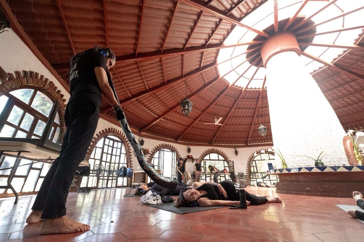 Ritual con didgeridoo bajo el tragaluz, imagen que resume EGO Project